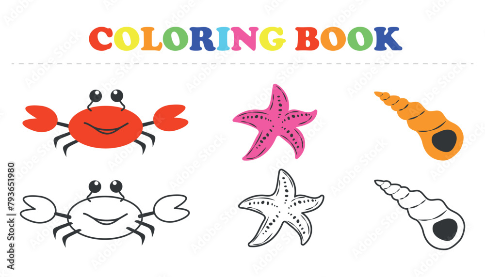 Children's coloring page crab, starfish, shell. Children's coloring page of sea creatures. Vector illustration of a training page, printable, eps 10