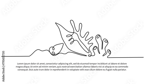Continuous line design of the beauty of coral reefs and coral snails. Single line decorative elements drawn on a white background.