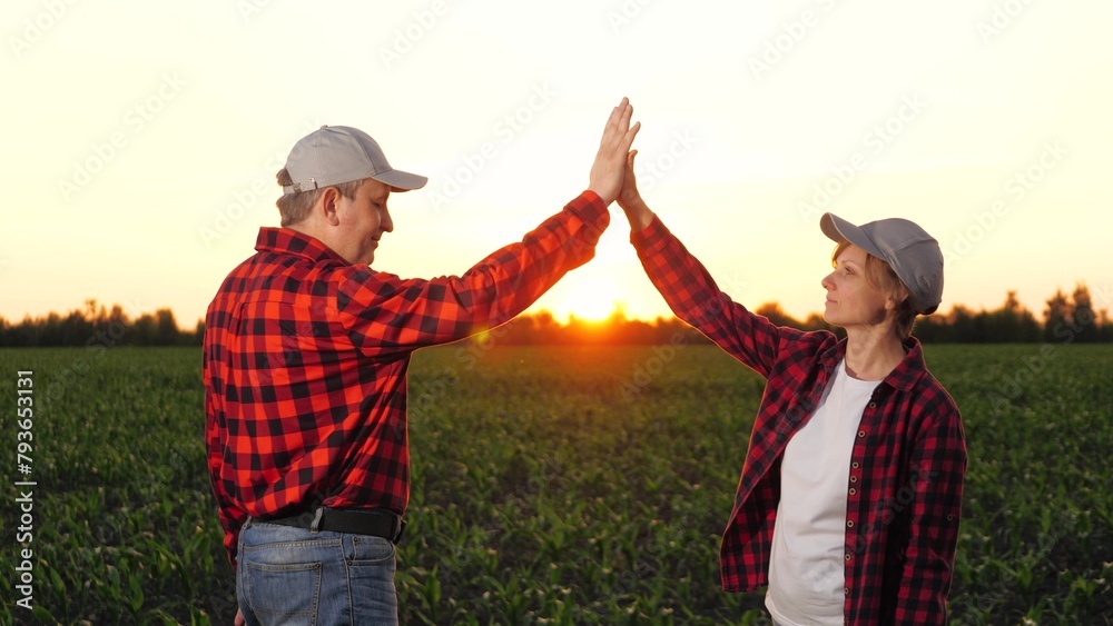 Man and woman agronomist colleagues discuss cultivation hitting hands at corn field closeup. Two farmer partners work as team consulting talking agriculture farming organic plant produce at sunset