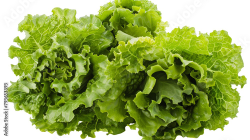 A bunch of green lettuce leaves are shown white background.png