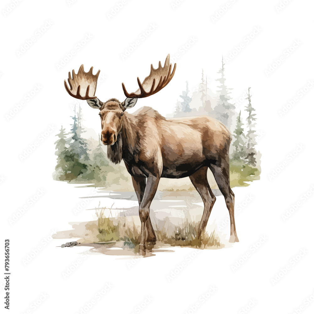 Naklejka premium Watercolor moose clipart for graphic resources