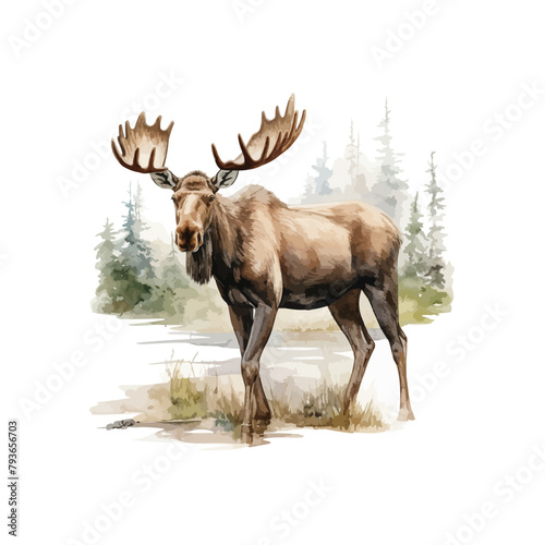 Watercolor moose clipart for graphic resources