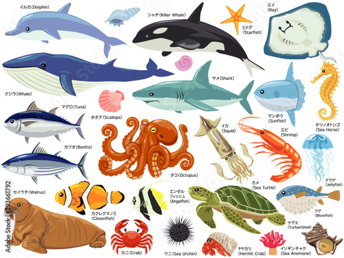海の生き物イラストセット