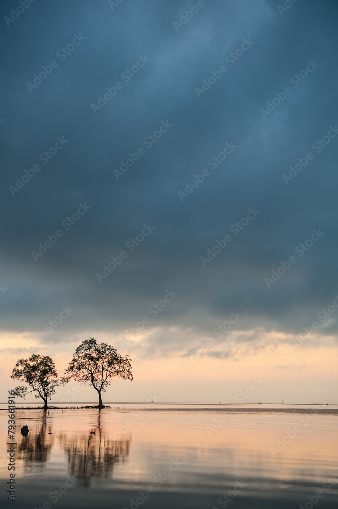 Morning sea, beautiful sky, reflection of trees Morning sea, beautiful sky, reflection of trees