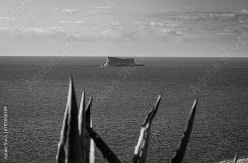 abstract image of offshore island and agave leaves, Malta.