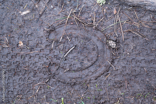 Tracks from horse shoe and bicycle tires