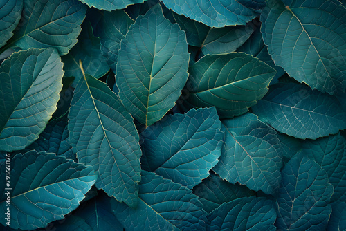 Green leaves texture wallpaper background 