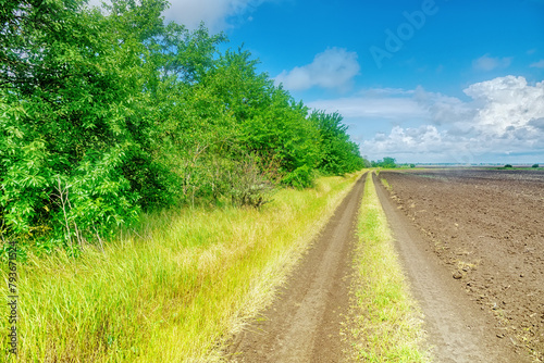 A field earth-road runs along a sown field and a forest strip (shelter belt, wind-snow break). Spring