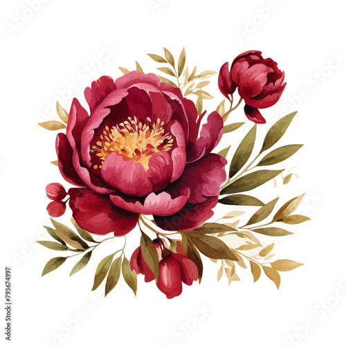 watercolor burgundy peony clipart for graphic resources