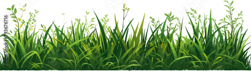 Green grass vector isolated design