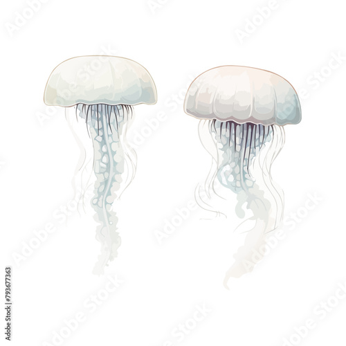 Jellyfish | Minimalist and Simple set of 3 Line White background - Vector illustration