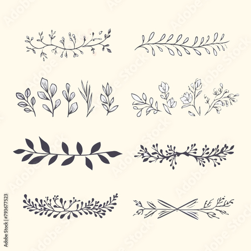 Laurel and floral text dividers doodle set. Wedding decorative elements with leaves and flowers. Branches  divider ornament  borders  lines. Hand drawn vector illustration isolated on white background