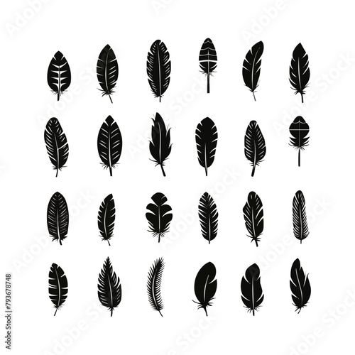Vector Feathers Set. Elements for design isolated on white. Bird feather icon silhouette collection. Vector illustration