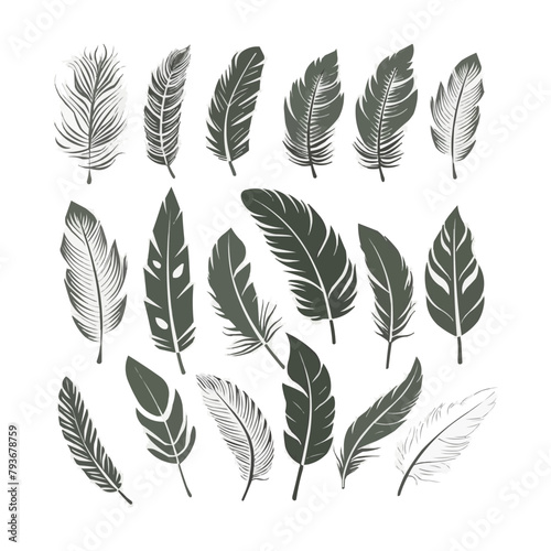 Vector Feathers Set. Elements for design isolated on white. Bird feather icon silhouette collection. Vector illustration