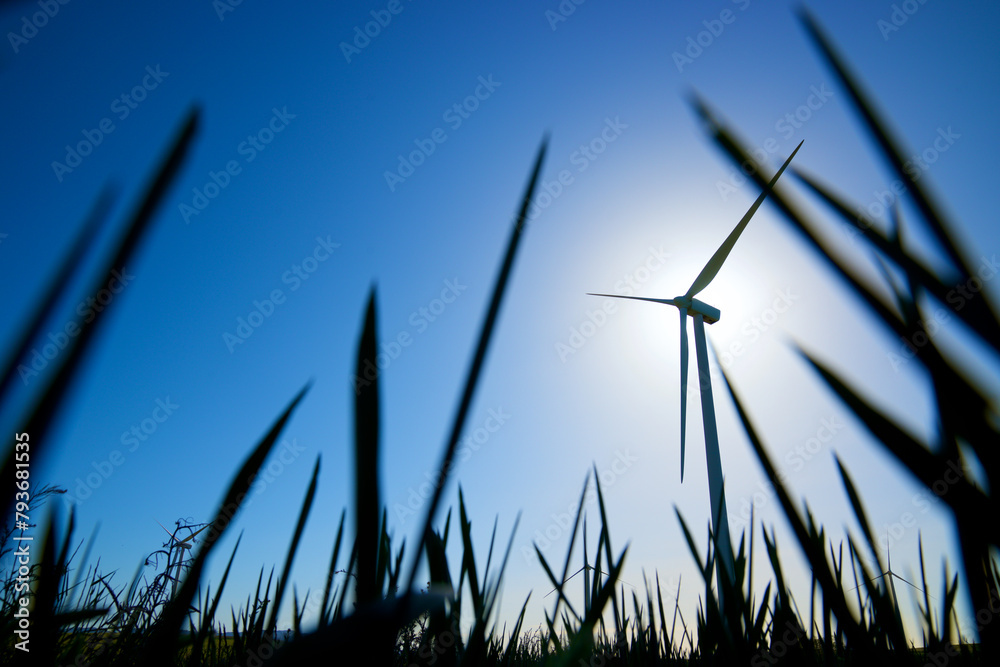 Fototapeta premium Wind turbine generators for clean electricity production