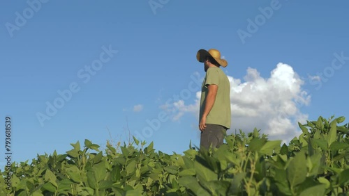 A rural producer man wearing hat in a sunny day in a soybean plantation field - Country side Brazil photo