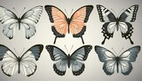 Butterflies. Set of elements for design. Vector vintage classic illustration. Black and white