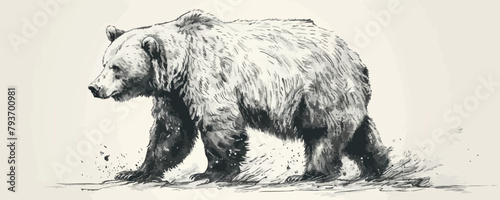 A bear is walking through the snow