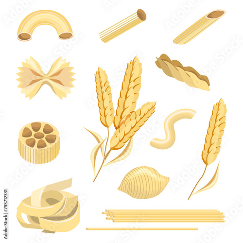 Set of pasta, conciglioni, pappardelle, fartelle, cellentani, tortiglioni, fusilli, penne, ears of wheat, isolated on a white background. Vector collection of pasta for restaurant menus, pasta package