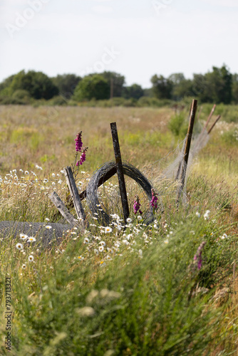 fence in the field