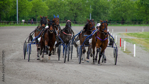 Racing horses trots and rider on a track of stadium. Competitions for trotting horse racing. Horses compete in harness racing. Horse runing at the track with rider.
 photo