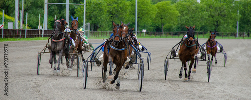 Racing horses trots and rider on a track of stadium. Competitions for trotting horse racing. Horses compete in harness racing. Horse runing at the track with rider.
