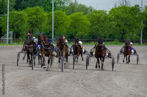 Racing horses trots and rider on a track of stadium. Competitions for trotting horse racing. Horses compete in harness racing. Horse runing at the track with rider.
 photo