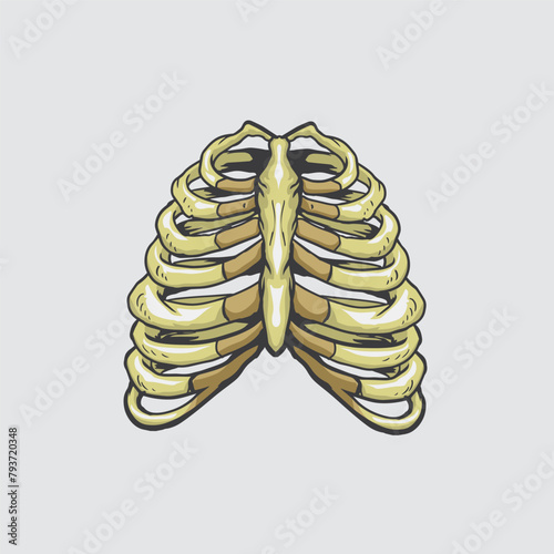Rib Skeleton illustration 