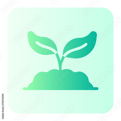 plant gradient icon
