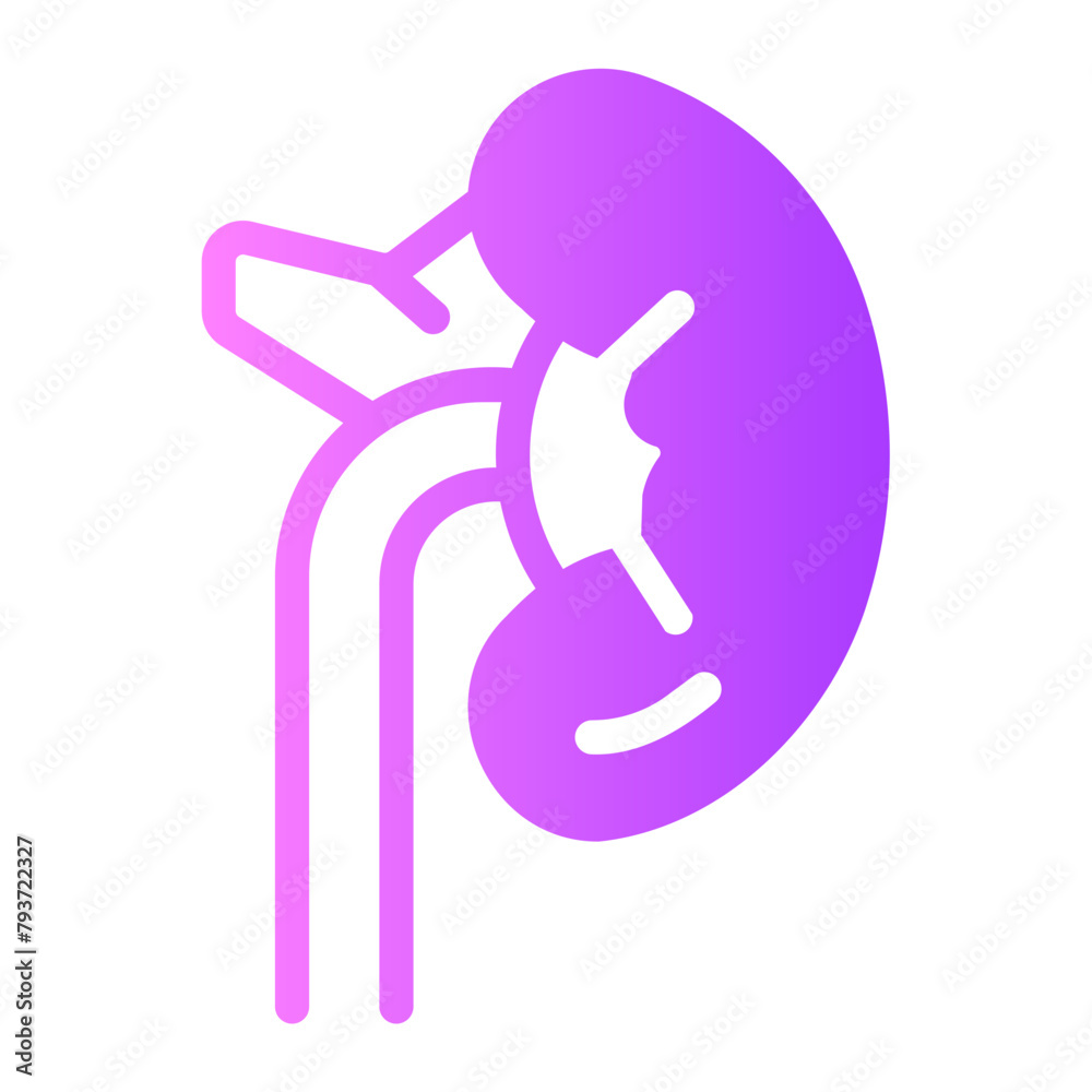 kidney gradient icon