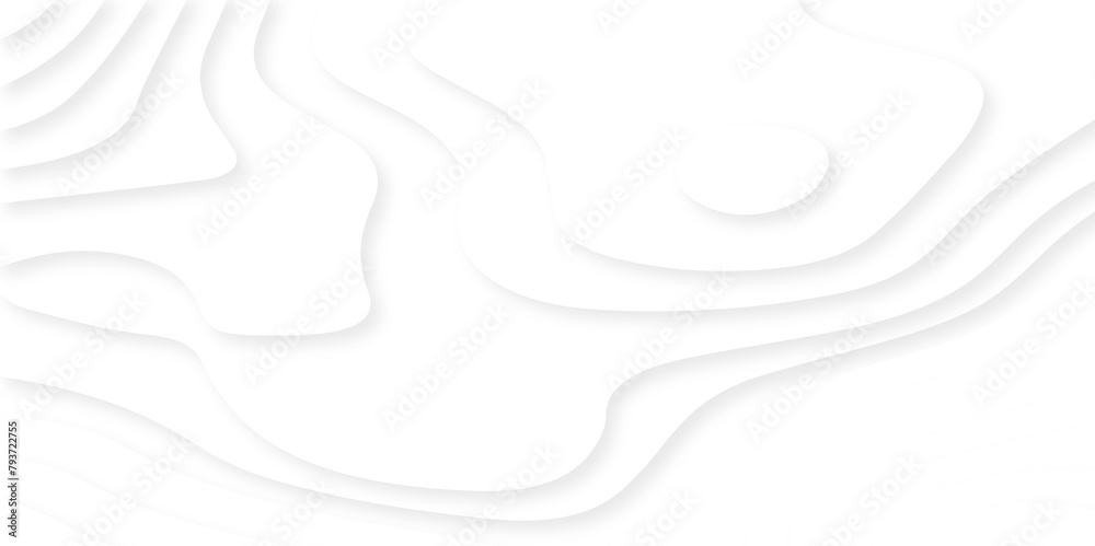 Abstract white paper cut background with lines. Background of the topographic map. White wave paper curved reliefs abstract background. Realistic papercut decoration textured with wavy layers. Abstract white paper cut background with lines. Background of the topographic map. White wave paper curved reliefs abstract background. Realistic papercut decoration textured with wavy layers.