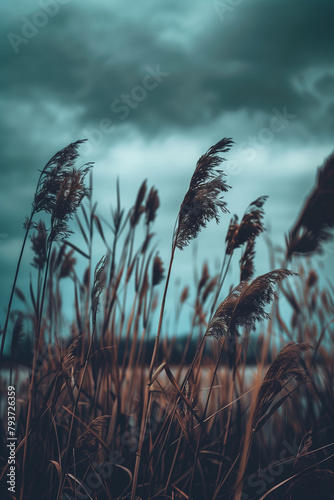 **the grass is growing against a blue sky, in the style of dark gray and bronze, exotic flora and fauna, voigtlander bessa r2m, dreamy and romantic compositions, light gray and dark amber, gongbi, nat