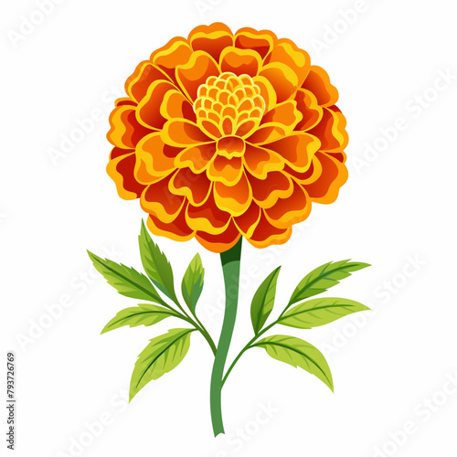 Obraz na płótnie marigold flower vector art illustration (1) w salonie