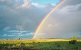 Vibrant Rainbow Stretched Across Midday Sky isolated on transparent background PNG.