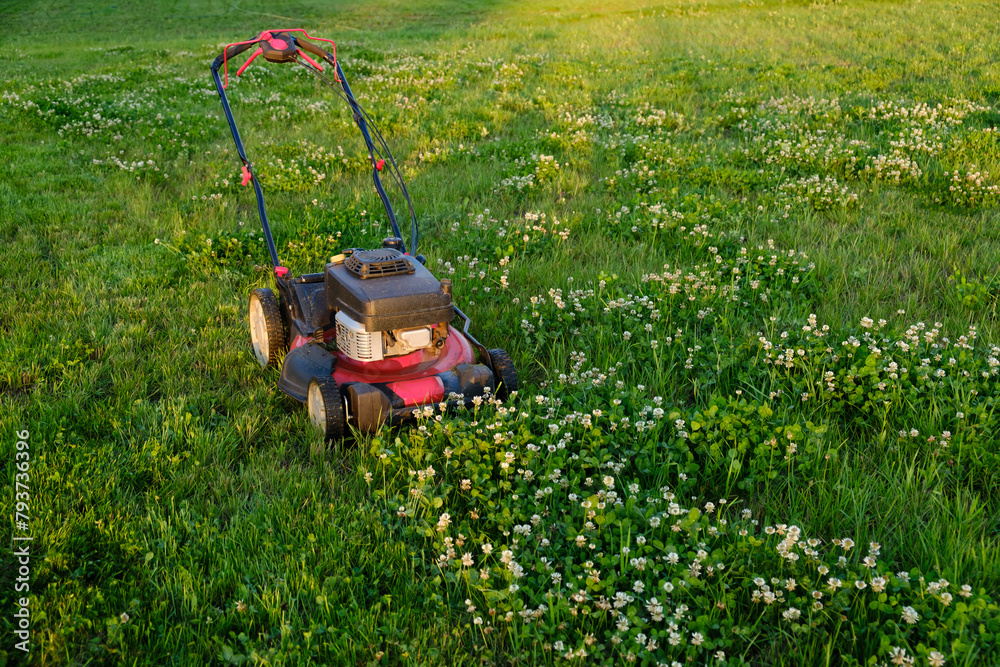 Fototapeta premium Lawn mower on green grass background. Petrol machine for cutting. Garden care. Electric equipment. Side view. Copy space. Lots of clover weeds. Sport lawn for games. Weed control. High quality photo