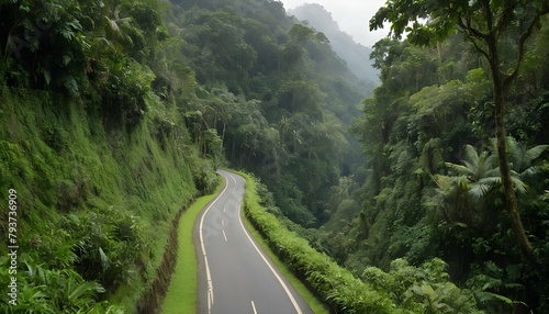 A narrow road winding through a lush green rainfor upscaled 5 photo