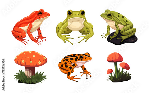 Frogs set. Different species of amphibian, reptile: ceratophrys, tree, tomato and spotted treefrog. Cute, funny tropical, rainforest toad sit with tongue. Lineart isolated vector illustration on white