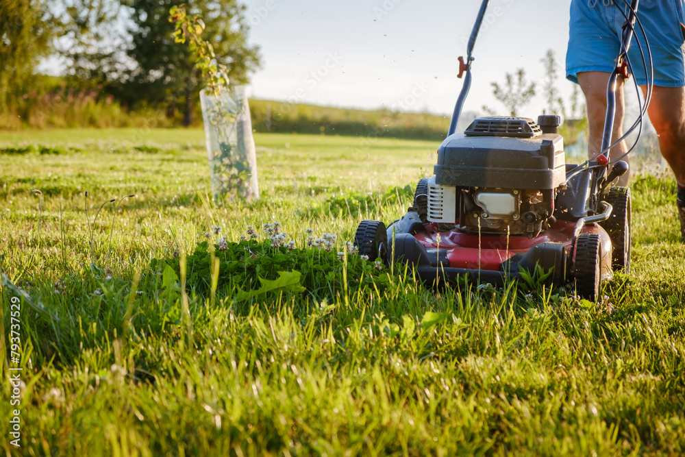 The unrecognizable man mows green grass with lawn mower in the garden in sunny evening light. Petrol machine for cutting. Garden care. Electric equipment. Side view. Copy space. Lots of clover weeds The unrecognizable man mows green grass with lawn mower in the garden in sunny evening light. Petrol machine for cutting. Garden care. Electric equipment. Side view. Copy space. Lots of clover weeds