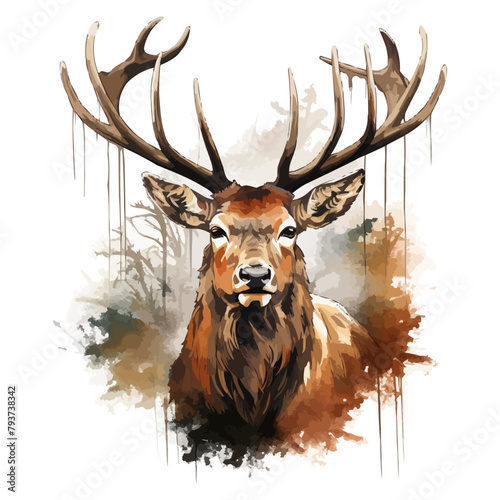 head of deer watercolor vector illustration,elk head with big horns
