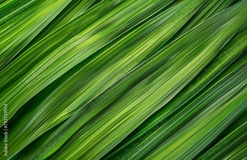 green leaves background  nature  leaf