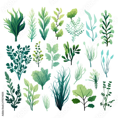 Ocean plants marine foliage vector set