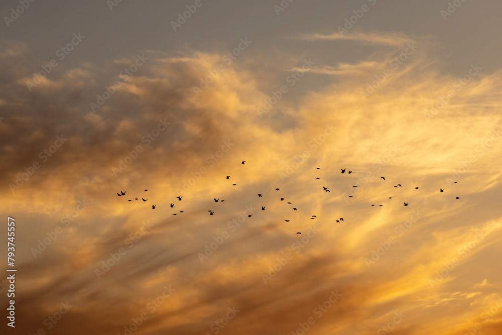Obraz premium beautiful multicolored sky at sunset