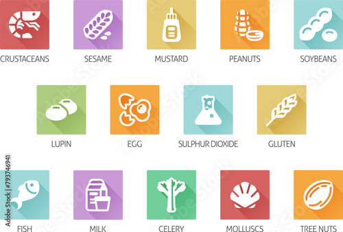 Food allergen allergy icons. include big 8 FDA Major Allergens and 14 food allergies from the EU Food Information for Consumers Regulation EFSA European Food Safety Authority Annex II