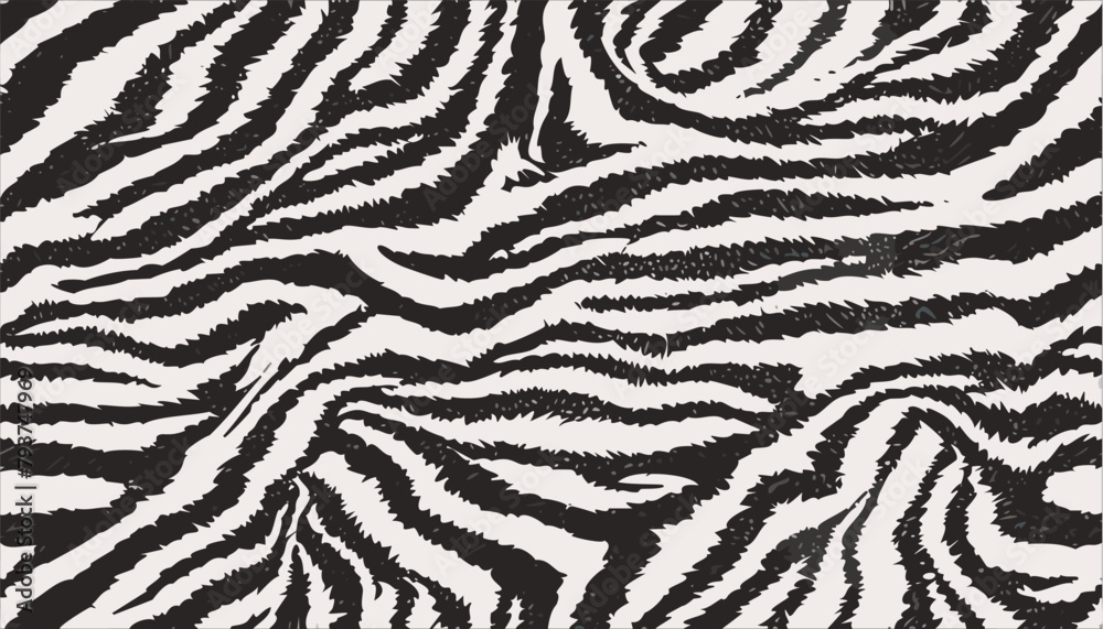 Fototapeta premium Zebra skin texture black and white fabric background