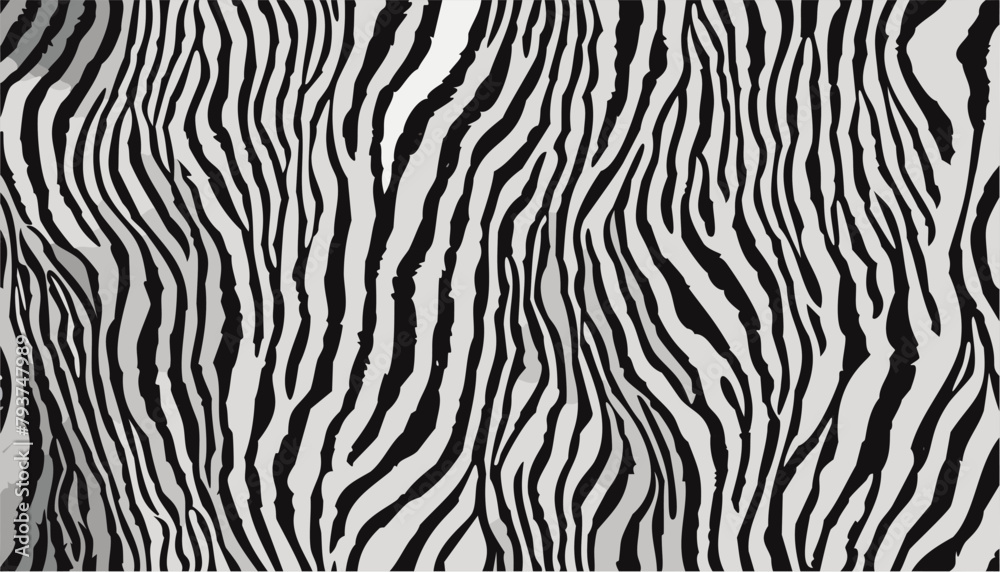 Zebra skin texture black and white fabric background