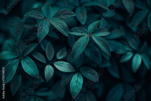 Captivating abstract green bokeh lights create a mesmerizing blur suitable for backgrounds