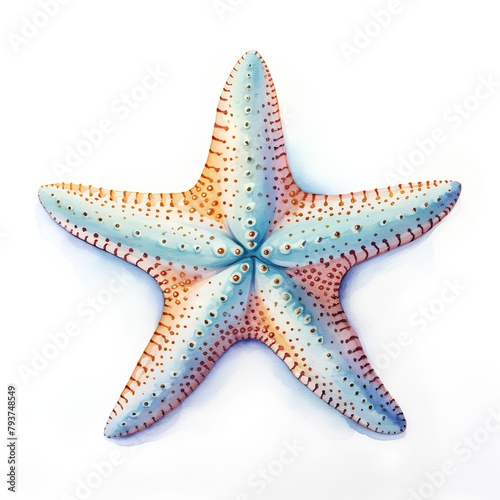 Watercolor starfish isolated on white background. Hand drawn illustration.