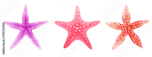 Set of colorful starfish. Vector set of illustrations of sea animals in watercolor style isolated on white
