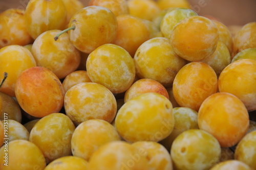 Tableau sur toile Prune mirabelle