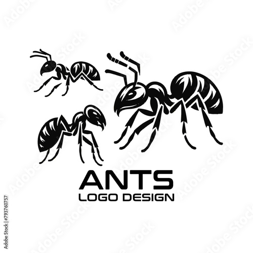 Ants Vector Logo Design photo